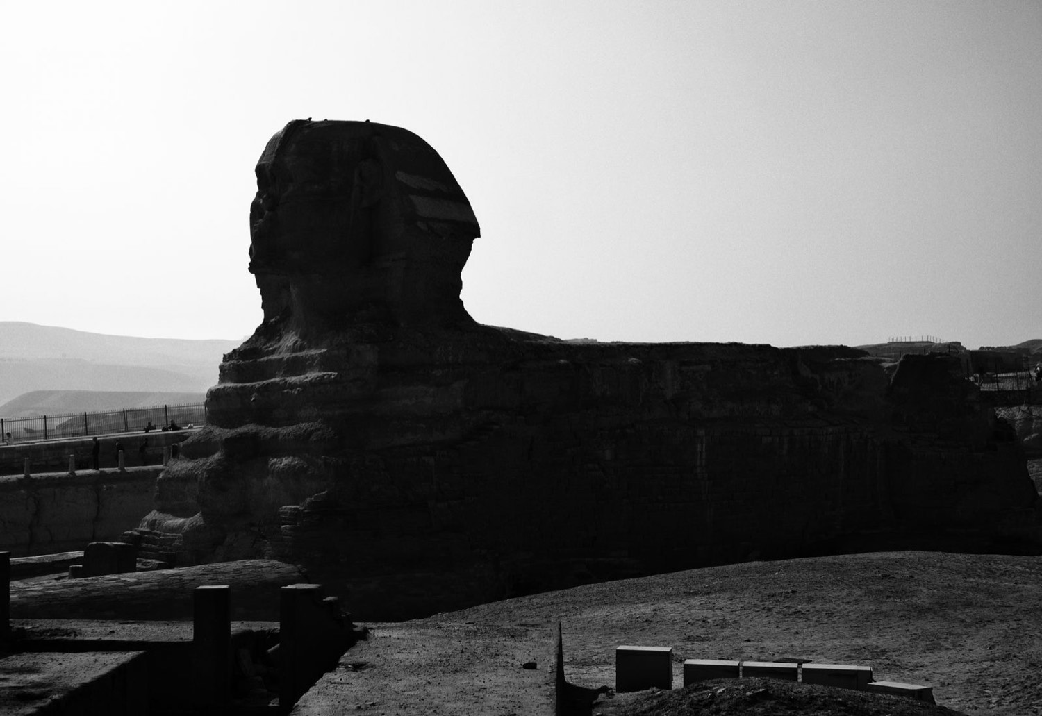 Giza pyramids at golden hour
